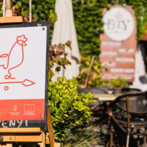 Sikerrel zárultak a Nyitott Porta Napok – a Dunántúl szíve térségében