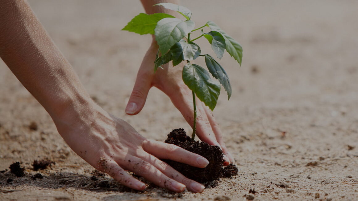 Programajánló – Nemzetközi konferencia Szlovéniában: A nők és fiatalok szerepe az agrárium jövőjében